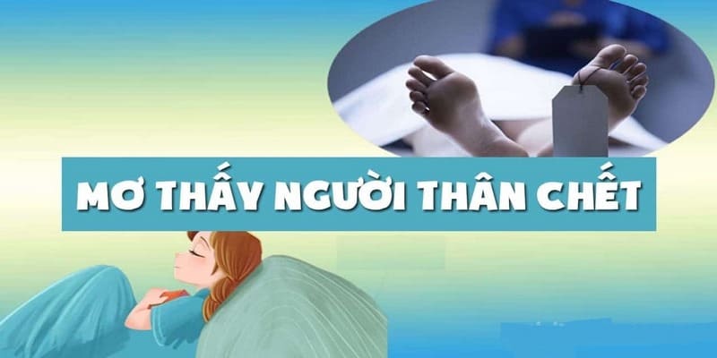 Giải Mã Giấc Mơ Người Nhà Mất Báo Hiệu Điều Gì Với New88 3 Nên đánh con gì khi mơ người nhà mất