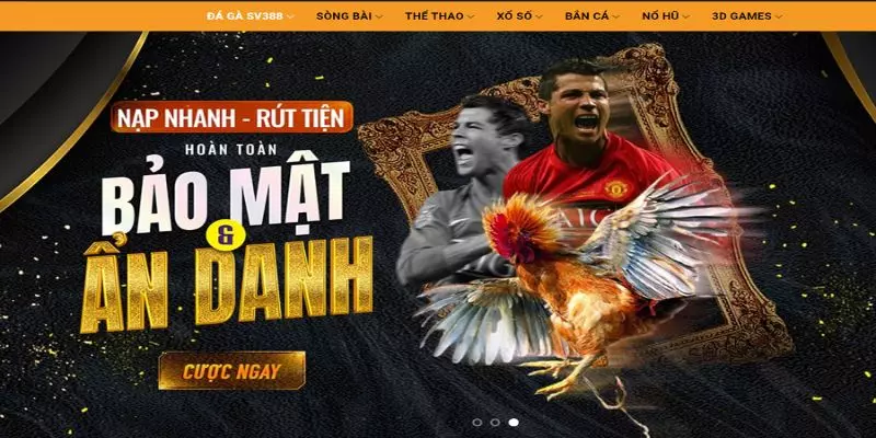 NEW88 - Giới Thiệu Đôi Nét Về Nhà Cái Uy Tín Casinomcw 5 bảo mật new88